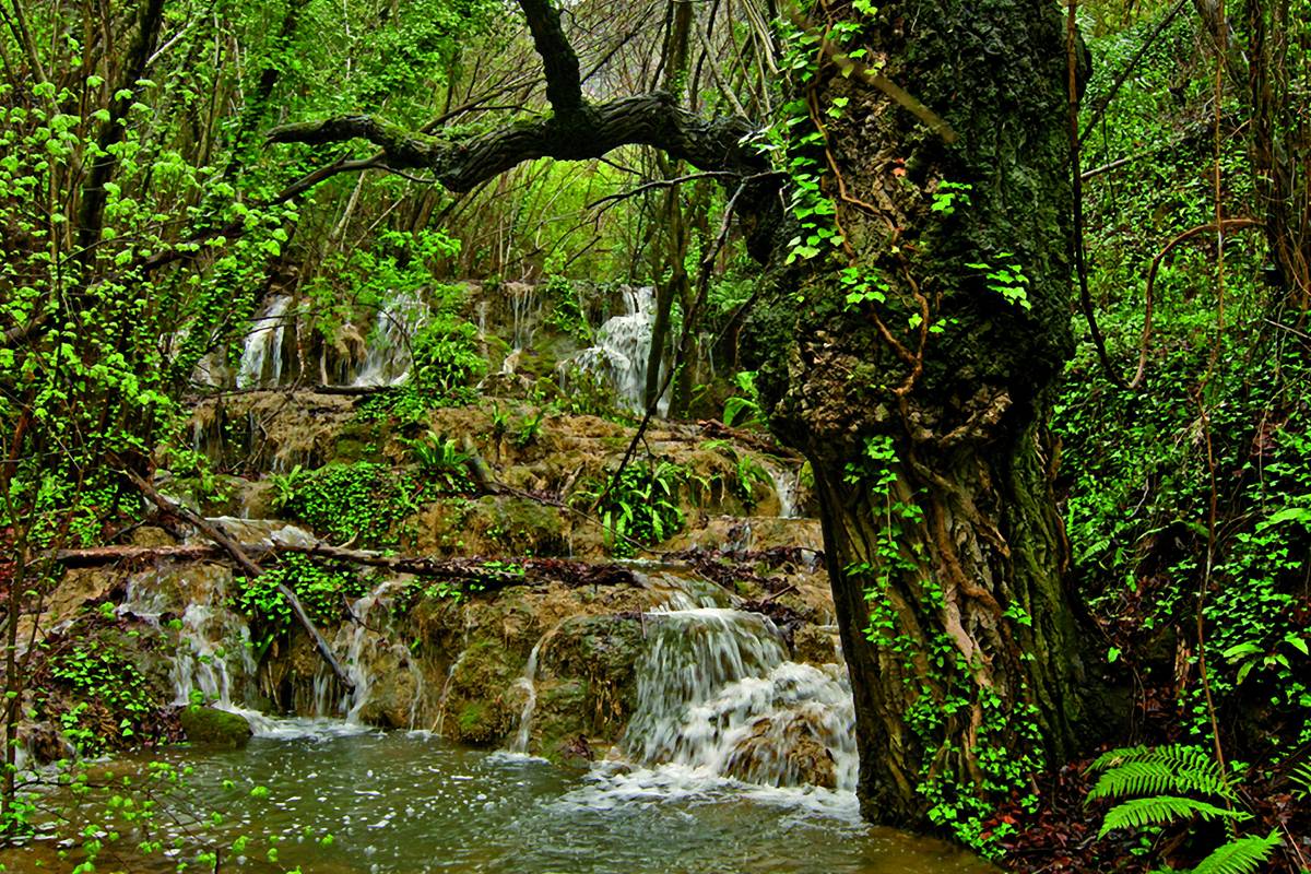 Territorio y naturaleza